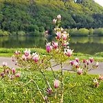 Am Moselbeach Mehring (Rhineland-Palatinate)