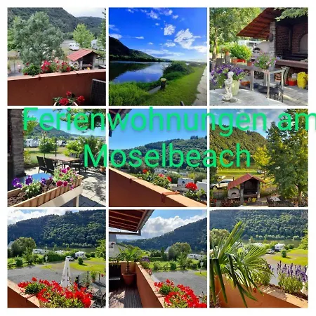 Am Moselbeach * Mehring (Rhineland-Palatinate)