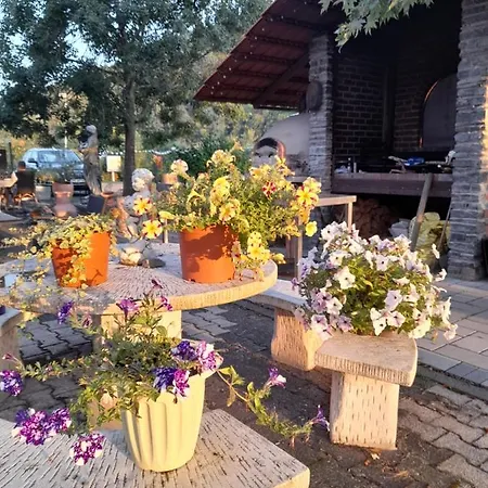 Apartment Am Moselbeach Mehring (Rhineland-Palatinate)