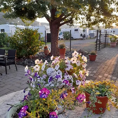 Am Moselbeach Mehring (Rhineland-Palatinate)