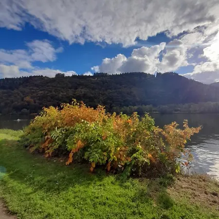 Apartamento Am Moselbeach