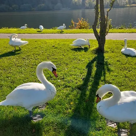 Apartamento Am Moselbeach Mehring (Rhineland-Palatinate)