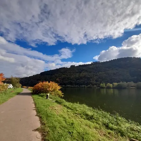 Am Moselbeach * Mehring (Rhineland-Palatinate)