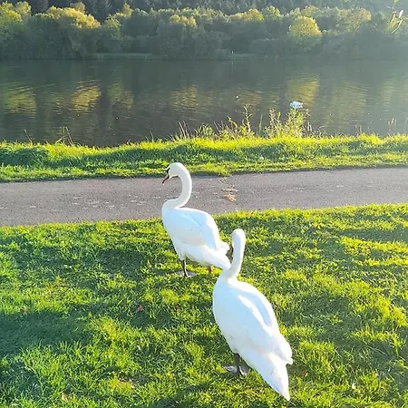 Am Moselbeach Mehring (Rhineland-Palatinate)