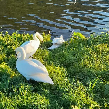 Am Moselbeach Mehring (Rhineland-Palatinate)