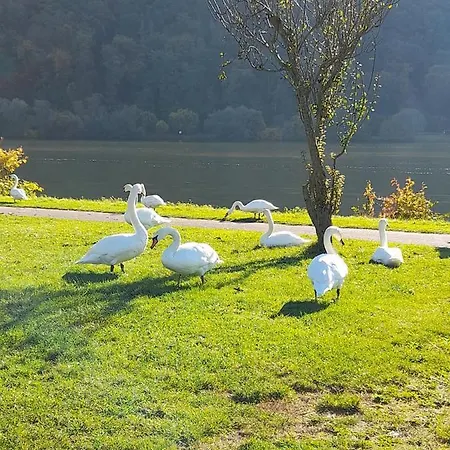 Am Moselbeach