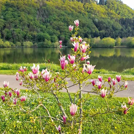 Am Moselbeach Mehring (Rhineland-Palatinate)