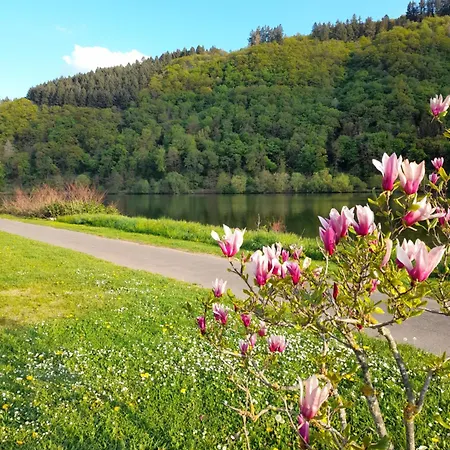 Am Moselbeach Mehring (Rhineland-Palatinate)