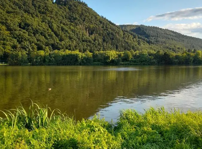 Apartamento Am Moselbeach *