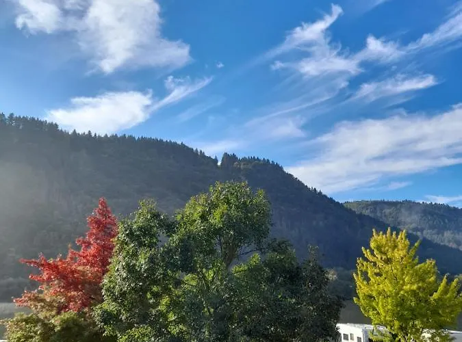 Am Moselbeach Apartament