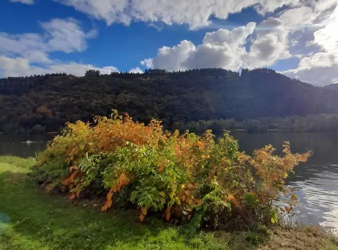 Apartament Am Moselbeach