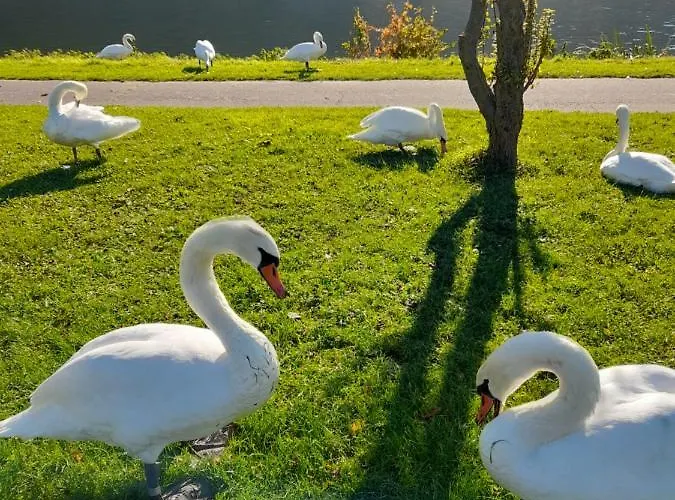 Apartament Am Moselbeach Mehring (Rhineland-Palatinate)