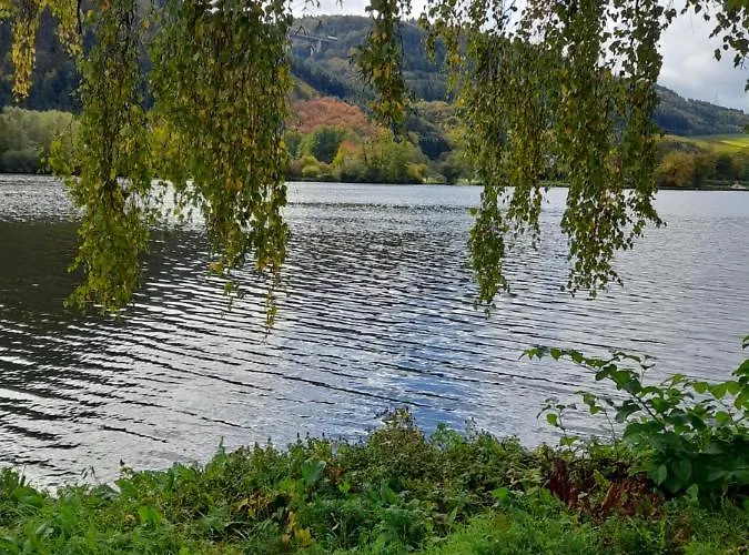 Apartamento Am Moselbeach Mehring (Rhineland-Palatinate)