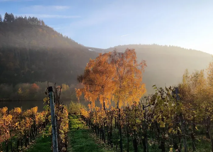 Am Moselbeach Apartament Mehring (Rhineland-Palatinate)