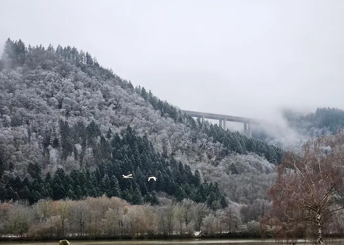 Apartament Am Moselbeach Mehring (Rhineland-Palatinate)